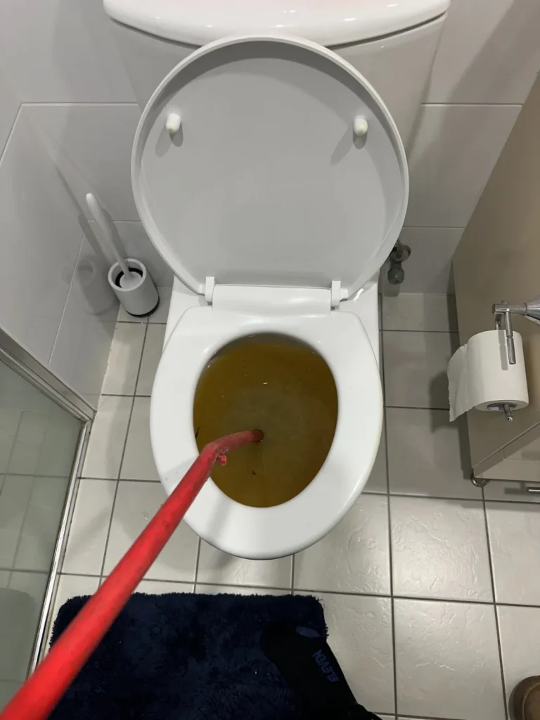 Toilet Repairs & Installation