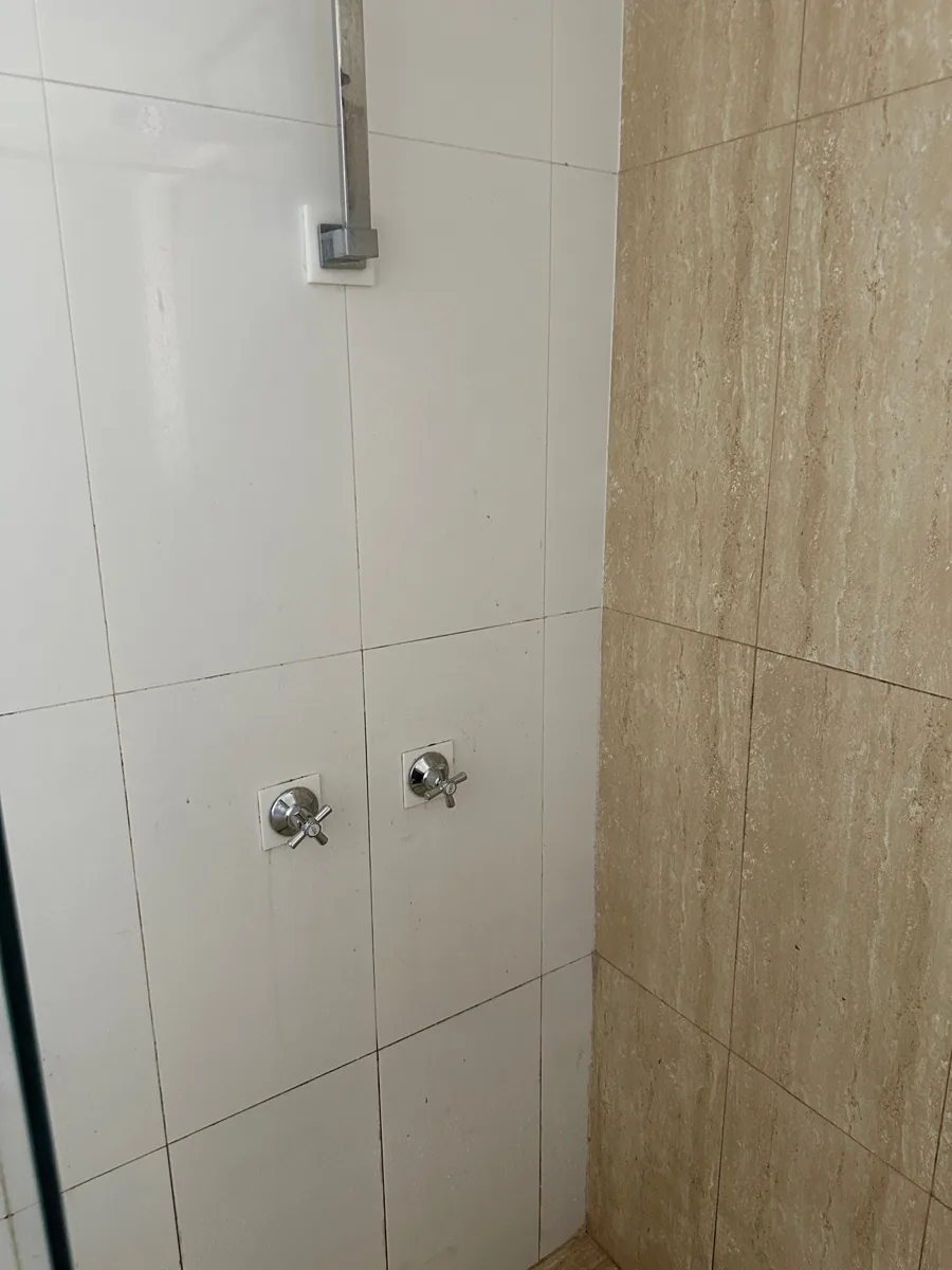 Shower fittings photographed during the Rosehill tap repair